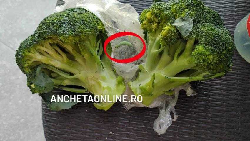 broccoli