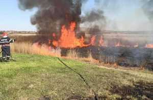 Pompierii au stins 209 incendii în ultimele 24 de ore! 21 isu-tulcea-foc de vegetatie