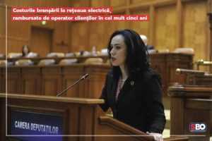 Simona Bucura Oprescu: „Costurile branșării la rețeaua electrică, rambursate de operator clienților în cel mult cinci ani!” 12 electrică