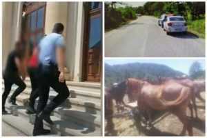 (Video) Bărbați reținuți de polițiștii argeșeni pentru furtul unor cai 1 bărbați arestați