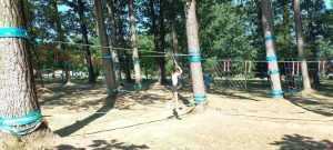 „Aventura Parc” oferă noi atracții în Parcul „Lunca Argeșului”! 1 lunca argesului - „Aventura Parc” oferă noi atracții în Parcul „Lunca Argeșului”!