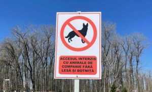 Primarul municipiului Pitești transmite un mesaj proprietarilor de câini! 1 295998251 1021778988492146 2231449094286313366 n e1659676266242 - Primarul municipiului Pitești transmite un mesaj proprietarilor de câini!
