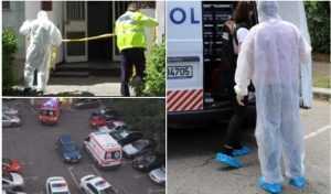 crima arad - Doi studenți la Medicină și-au ucis un coleg și au filmat scena