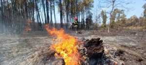 (VIDEO) Misiunile modulului național de stins incendii continuă în Franța! 1 isu arges - (VIDEO) Misiunile modulului național de stins incendii continuă în Franța!