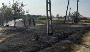 Incendiu de vegetație în comuna Moșoaia! 1 incendiu de vegetatie
