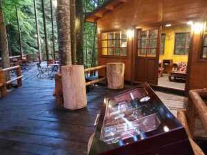 Căsuțe în copaci - o nouă atracție pe Transfăgărășan 2 treehouse1 - Căsuțe în copaci - o nouă atracție pe Transfăgărășan