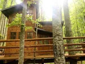 Căsuțe în copaci - o nouă atracție pe Transfăgărășan 4 treehouse4 - Căsuțe în copaci - o nouă atracție pe Transfăgărășan
