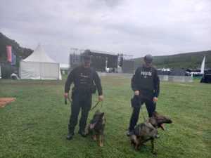 analogue festiv - Polițiștii au acționat în cadrul festivalului Analogue - au întocmit 11 dosare penale pentru consum și trafic de droguri!