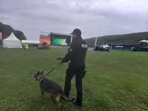 politie fest - Polițiștii au acționat în cadrul festivalului Analogue - au întocmit 11 dosare penale pentru consum și trafic de droguri!