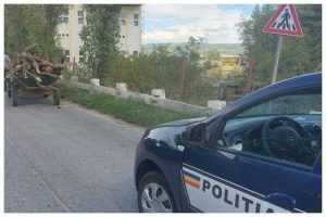 Argeșean amendat! Prins cu căruța plină cu lemne prin Pitești! 30 caruta Pitești