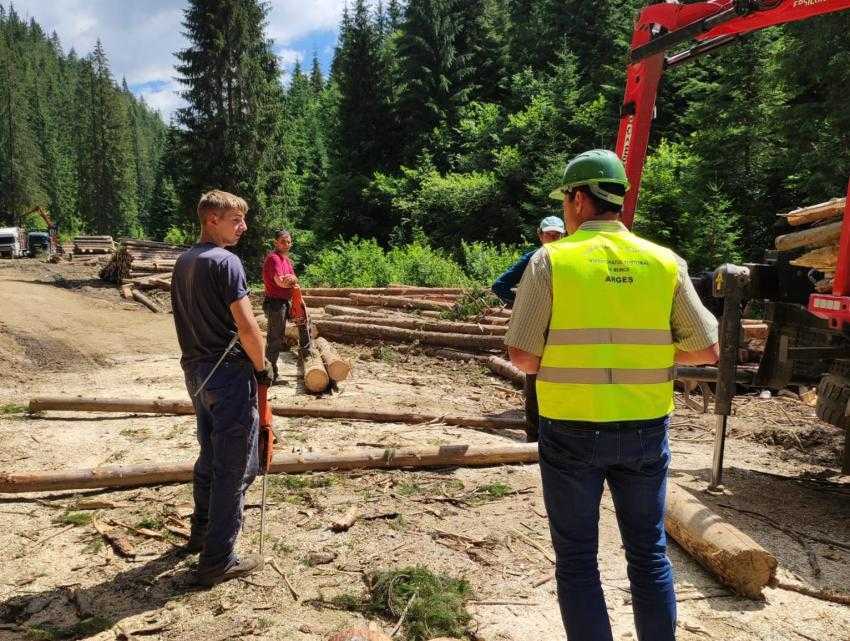 itm arges forestier control 1 - Aviz favorabil pentru proiectul inițiat de Forța Dreptei privind Kurzarbeit