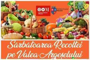 Producătorii agricoli și meșterii populari sunt așteptați la Mioveni! 29 la Mioveni