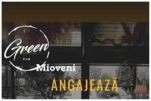 Green Pub își mărește echipa! Angajează ospătar și barman! 24 pub