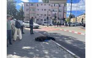 Are nevoie de ajutor! O persoană a căzut în stradă în Pitești! 22 persoana cazuta centru pitesti - Are nevoie de ajutor! O persoană a căzut în stradă în Pitești!