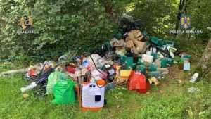 6 - Plantație de canabis lângă pădure! 97 de plante crescute pentru comercializare!