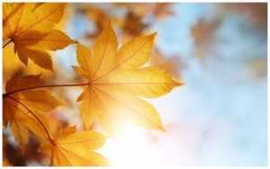 Temperaturi de vară în octombrie. Sunt anunțate 30 de grade 1 ANM cald