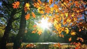 Prognoza meteo! Temperaturi de vară la sfârșit de septembrie 2 Prognoza meteo - Prognoza meteo! Temperaturi de vară la sfârșit de septembrie