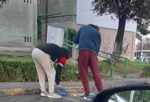 (VIDEO) PITEȘTI: Puși să dea cu mătura, după ce au aruncat pe jos coji de semințe 20 tineri seminte - (VIDEO) PITEȘTI: Puși să dea cu mătura, după ce au aruncat pe jos coji de semințe