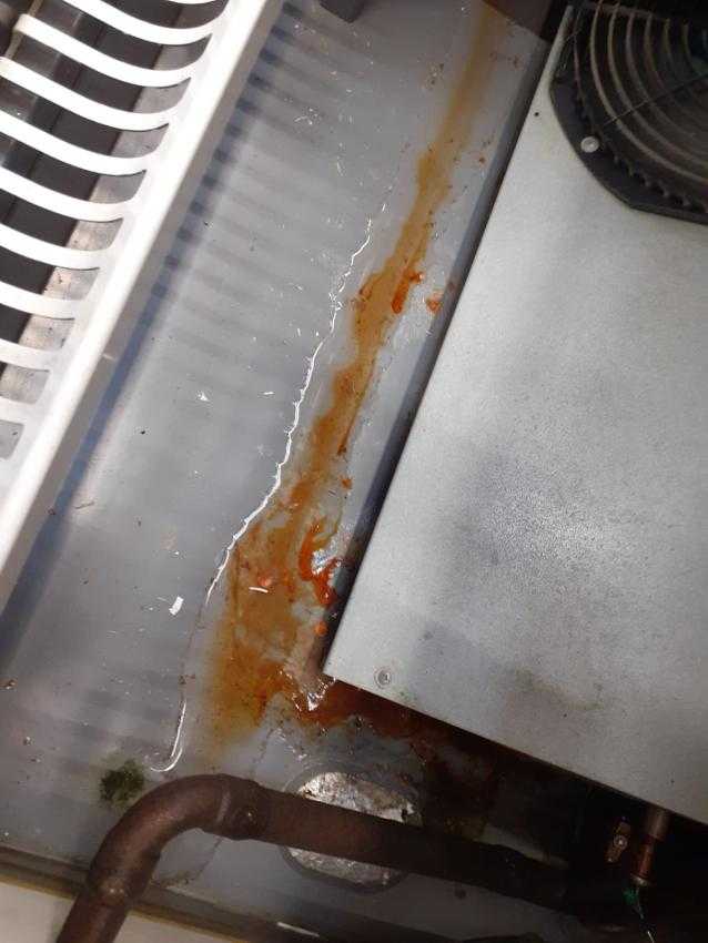 auchan11 - Imagini cu mizeria și produsele stricate de la Auchan, inclusiv la Pitești