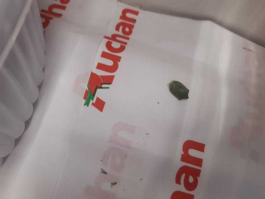 auchan2 - Imagini cu mizeria și produsele stricate de la Auchan, inclusiv la Pitești