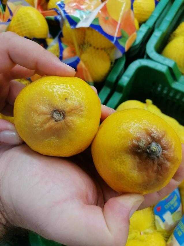 auchan4 1 - Imagini cu mizeria și produsele stricate de la Auchan, inclusiv la Pitești