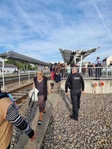 cersetori la Pitești