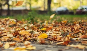 Cum va fi vremea în a doua lună de toamnă 15 octombrie vreme