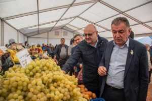 Peste 130 de producători la ediția din acest an a Festivalului „Toamna Piteșteană” 1 toamna psd
