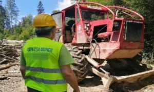 itm - ITM Argeș: Încep controalele în domeniul forestier