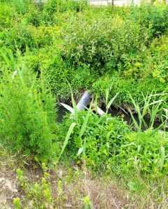 Primarul Piteștiului a semnat contractul de execuție lucrări pentru „Reabilitare canal deschis, strada General Dimitrie Boteanu - etapa I”. 1 lucrari - Primarul Piteștiului a semnat contractul de execuție lucrări pentru „Reabilitare canal deschis, strada General Dimitrie Boteanu - etapa I”.