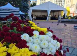Festivalul „Toamna Piteșteană” se prelungește până duminică, 23 octombrie! 1 toamna