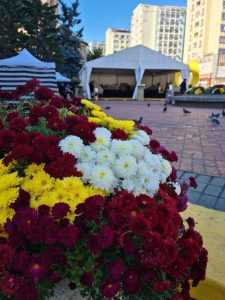 311692825 481716400649379 6018250878427457071 n - Festivalul „Toamna Piteșteană” se prelungește până duminică, 23 octombrie!