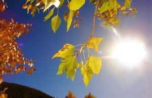 Prognoza meteo! Ce temperaturi sunt așteptate astăzi 3 meteo - Prognoza meteo! Ce temperaturi sunt așteptate astăzi