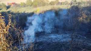 incendiu de vegetație