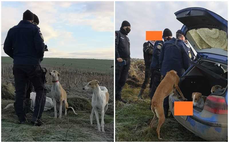 jandarmi ogari masina