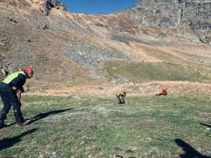 (Video) Tabăra națională Salvamont. La eveniment participă 14 unități canine 1 tabăra Salvamont