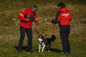 (Video) Tabăra națională Salvamont. La eveniment participă 14 unități canine 1 tabără Salvamont