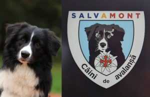 dara salvamont - Salvamont Argeș și-a luat „La revedere” de la DARA!