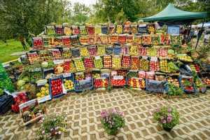 Bogăția toamnei s-a revărsat în curtea Goleștilor 4 rod cu spor Golești