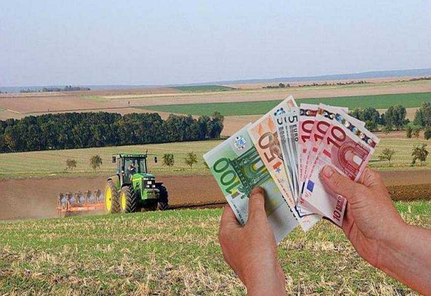 bani fermieri dosar APIA