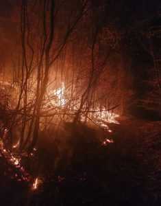 ACUM! Incendiu de vegetație în Argeș! 1 incendiu bogati - ACUM! Incendiu de vegetație în Argeș!