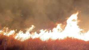 Argeș: Patru incendii de vegetație uscată, în ultimele 24 de ore! 1 incendiu vegetatie - Argeș: Patru incendii de vegetație uscată, în ultimele 24 de ore!