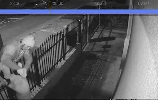 Foto descriptiv/Digi24