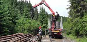 exploatare1 1024x498 1 - Firmă de exploatare forestieră din Argeș- amendată