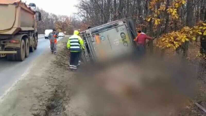 accident-dn-65-porci