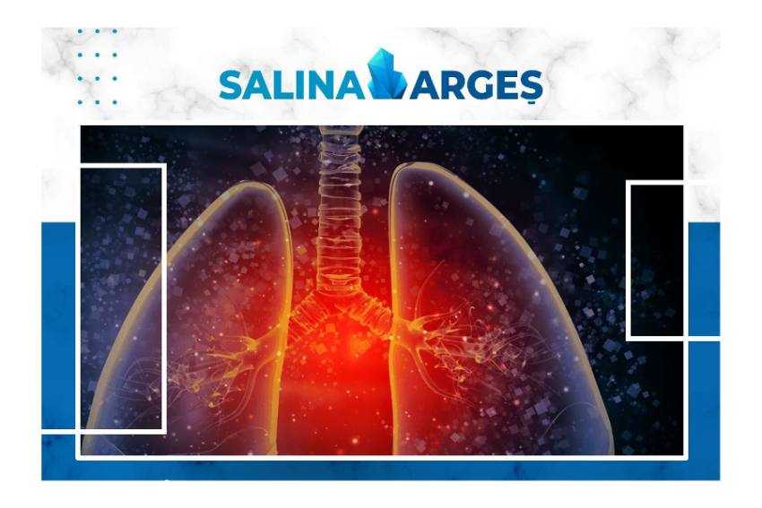 salina arges salina arges