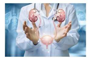 rinichi dr forte vita 