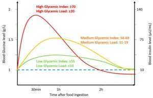 wfe - Dr. Ioana Gavrilescu, Clinica Forte Vita: „Păcălirea foamei cu un covrig înseamnă un aport caloric periculos!”