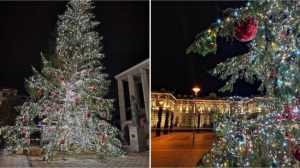 brad stramb bacau - Dorel lovește din nou! Brad montat strâmb în centrul unui oraș