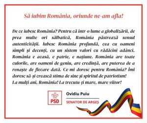 Senatorul Ovidiu Puiu: „Să iubim România, oriunde ne-am afla!” 1 România